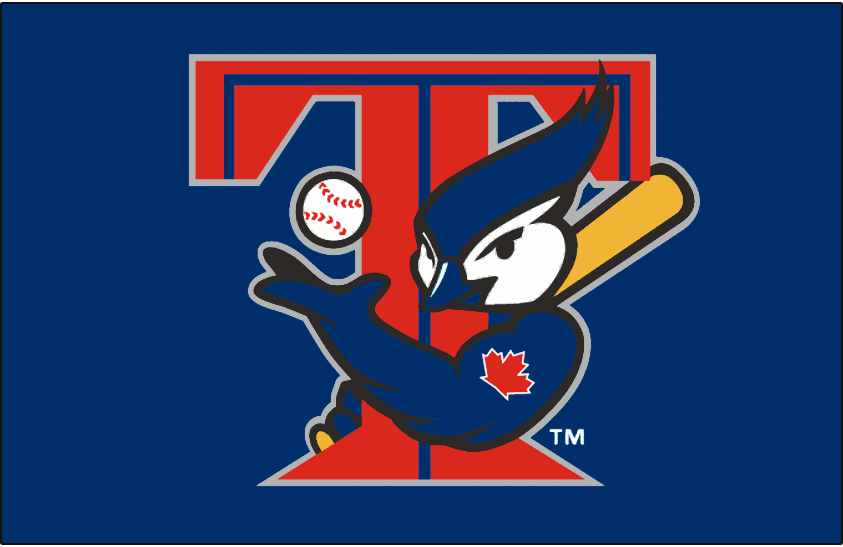 Toronto Blue Jays 2001-2003 Cap Logo fabric transfer